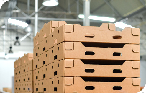 荆门江南网页版登录入口定制